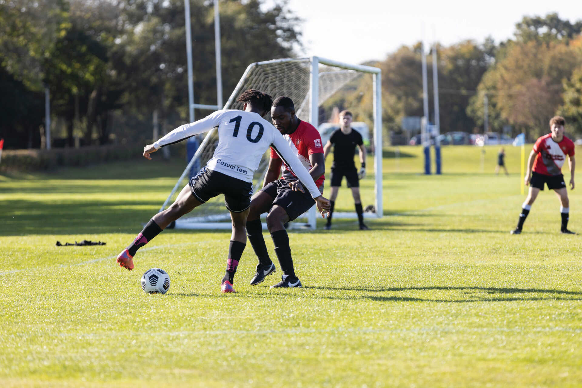 血和生存能 血和生存能