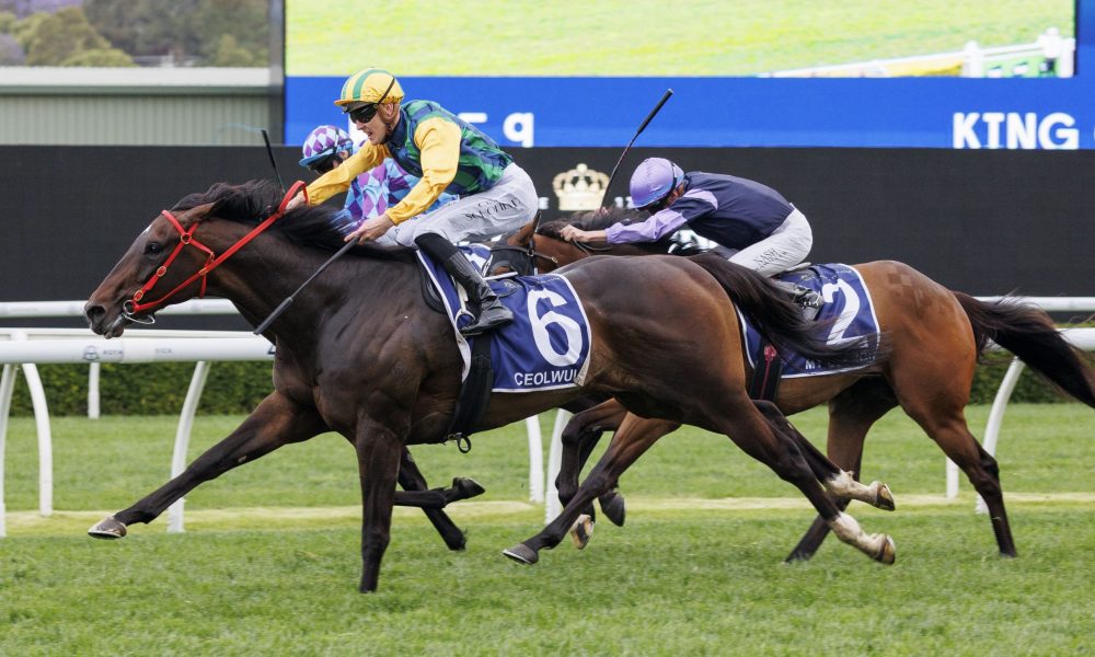 利物浦追求 利物浦追求